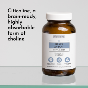 Alternative view of Brain Support